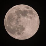 A glowing full moon with a subtle pink hue rising over a silhouetted forest horizon under a twilight sky.