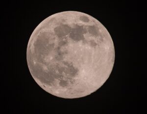 A glowing full moon with a subtle pink hue rising over a silhouetted forest horizon under a twilight sky.