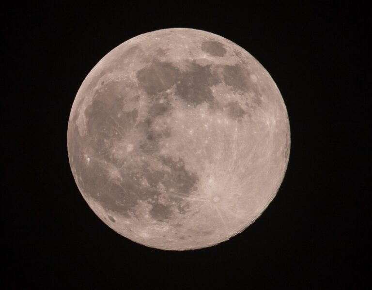 A glowing full moon with a subtle pink hue rising over a silhouetted forest horizon under a twilight sky.