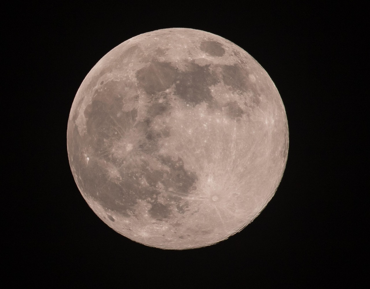 A glowing full moon with a subtle pink hue rising over a silhouetted forest horizon under a twilight sky.